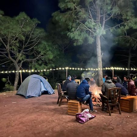 Hotel Tribe View - Away From City Hustle !! Top Rated & Most Awarded Property !! A Peaceful Stay Kasauli Exteriér fotografie
