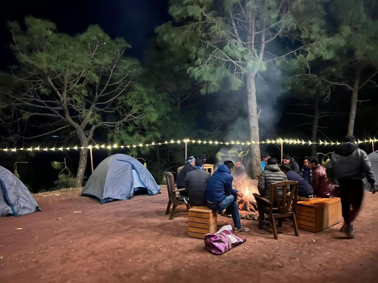 Hotel Tribe View - Away From City Hustle !! Top Rated & Most Awarded Property !! A Peaceful Stay Kasauli Exteriér fotografie